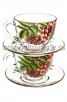 Сервиз чайный стеклянный  4 предмета 200 мл (2222-Д) Живая природа Рябинка (Гусь-Хрустальный)