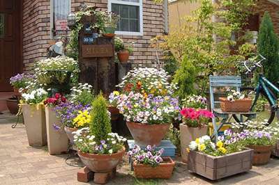 Как правильно выбрать кашпо для выращивания цветов и вазоны для сада