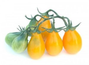 Гибрид или сорт: семена каких томатов купить? - 2