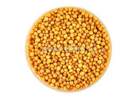 сидерат Горчица желтая мешок 25 кг (цена за 1 кг - 85 руб 11 коп)