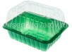 Ящик для рассады пластиковый  1 место 21*16*6,5 см минипарник зеленый (АК)