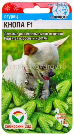 семена Огурец Кнопа F1 7 шт цветной пакет годен до 31.12.2028 (Сибирский сад)