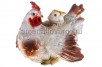 Садовая фигура Курица с цыпленком 30*40*50 см полистоун (F07786) (Россия) 