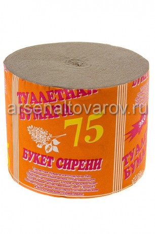 бумага туалетная без втулки Рыжая 40 м (БС-101) (Букет сирени)