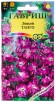 Семена Левкой однолетник Танго (серия Сад ароматов) 0,05 г цветной пакет годен до 31.12.2026 (Гавриш) 