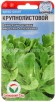 Семена Кресс-салат Крупнолистовой 0,5 г цветной пакет годен до 31.12.2026 (Сибирский сад) 