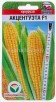 Семена Кукуруза сахарная Акцентуэта F1 5 шт цветной пакет годен до 31.12.2027 (Сибирский сад)