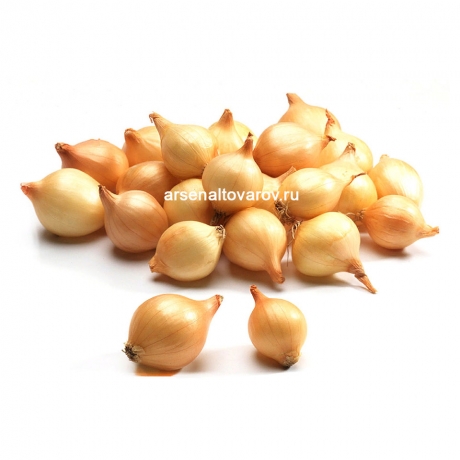 Лук севок Штуттгартер Ризен раннеспелый мешок 20 кг (цена за 1 кг - 97 руб 51 коп) (Россия)