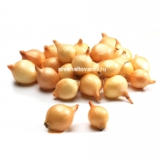 Лук севок Штуттгартер Ризен раннеспелый мешок 20 кг (цена за 1 кг - 116 руб 00 коп) (Россия)