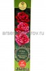 Роза парковая Фердинанд Пичерд розовая с полосками саженцы (Россия) 