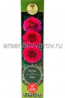 роза спрей Хихо карминно-розовая саженцы (Россия)
