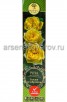 Роза шраб Английская Голден Селебрейшн желтая с персиковым саженцы (Россия) 