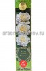 Роза чайно-гибридная Гималаи ярко-белая с кремовым саженцы (Россия) 