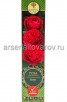 Роза Английская шраб Кейт пурпурно-розовая саженцы (Россия) 