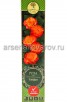 Роза спрей Тайфун оранжевая с розовым саженцы (Россия) 