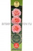 Роза флорибунда Амстердам пинк розовая саженцы (Россия) 