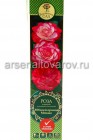 роза флорибунда Юбилей принца Монако бело-кремовая саженцы (Россия)