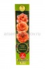Роза флорибунда Каралуна оранжевая саженцы (Россия) 