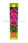 роза флорибунда Минерва темно-сиреневая саженцы (Россия)