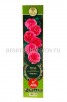 Роза миниатюрная Амулет розовая саженцы (Россия) 
