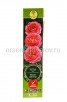 Роза шраб Мами Дитьер розовая саженцы (Россия) 
