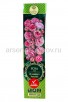 Роза спрей Плейфул Рококо розовая саженцы (Россия) 