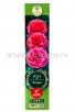 Роза шраб Ладюре розовая саженцы (Россия) 