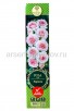 Роза шраб Ларисса розовая саженцы (Россия) 