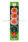 роза шраб Мари Кюри оранжевая саженцы (Россия)