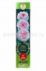 Роза чайно-гибридная Тсумуги розовая саженцы (Россия) 