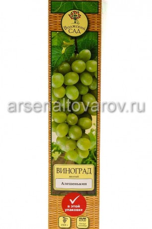 виноград очень ранний Алешенькин саженцы (Россия)