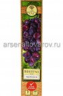 виноград очень ранний Заря Несветая саженцы (Россия)