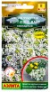 Семена Алиссум однолетник Норт фэйс вайт каскадный 12 шт цветной пакет годен до 30.12.2027 (Аэлита) 