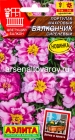 семена Портулак однолетник Балкончик сиреневый 0,05 гр цветной пакет годен до 31.12.2027 (Аэлита)
