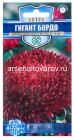 семена Астра однолетник Гигант бордо (серия Русский богатырь) 0,05 гр цветной пакет годен до 31.12.2026 (Гавриш)