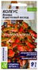 Семена Колеус многолетник Визард Коралловый восход 5 шт цветной пакет (Семена Алтая) 
