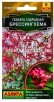Семена Гейхера многолетник Брессингхема 0,05 гр цветной пакет годен до 31.12.2027 (Аэлита) 