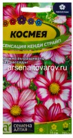 Семена Космея однолетник Сенсация Кенди Страйп 0,5 гр цветной пакет годен до 31.12.2028 (Семена Алтая)