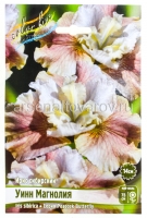 Ирис сибирский Уинн Магнолия (в пакете 1 шт) корневищные (Голландия)