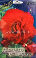 Бегония Махровая ярко-красная (в пакете 3 шт) цена за пакет клубневые (Голландия)