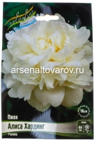 Пион махровый Алиса Хардинг (в пакете 1 шт) корневищные (Голландия)