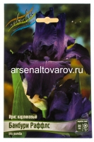 Ирис карликовый Банбури Раффлс (в пакете 1 шт) корневищные (Голландия)