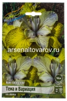 Ирис сибирский Тема и Вариация (в пакете 1 шт) корневищные (Голландия)