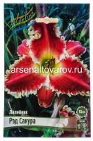 Лилейник Рэд Сакура (в пакете 1 шт) корневищные (Голландия)