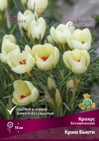 Крокус ботанический Крим Бьюти (в пакете 10 шт) цена за пакет луковичные (Голландия)