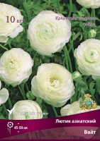 Лютик азиатский Вайт (в пакете 10 шт) цена за пакет корневищные (Голландия)