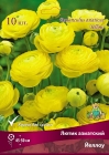 лютик азиатский Йеллоу (в пакете 10 шт) цена за пакет корневищные (Голландия)