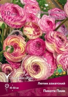 Лютик азиатский Пикоти Пинк (в пакете 10 шт) цена за пакет корневищные (Голландия)