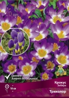 Крокус Зибера Триколор (в пакете 10 шт) цена за пакет луковичные (Голландия)