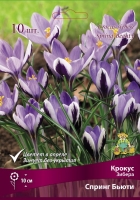 Крокус Зибера Спринг Бьюти (в пакете 10 шт) цена за пакет луковичные (Голландия)